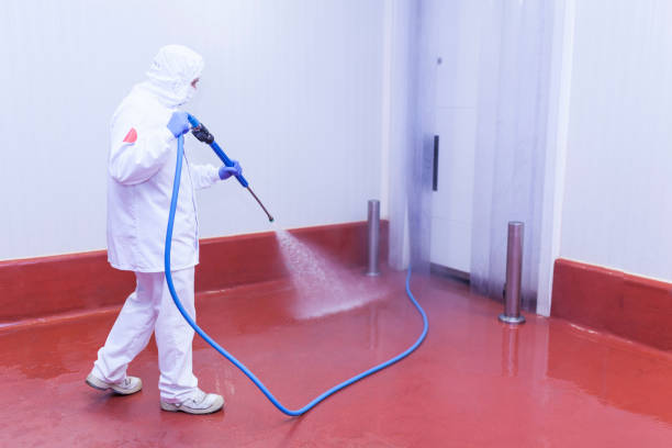 Best Boat and Dock Cleaning  in Barton, NM
